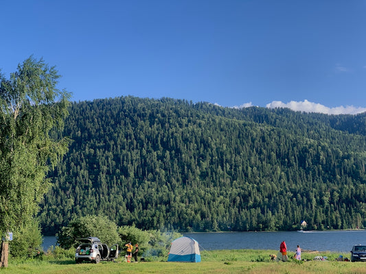 a group of people camping in a field next to a lake