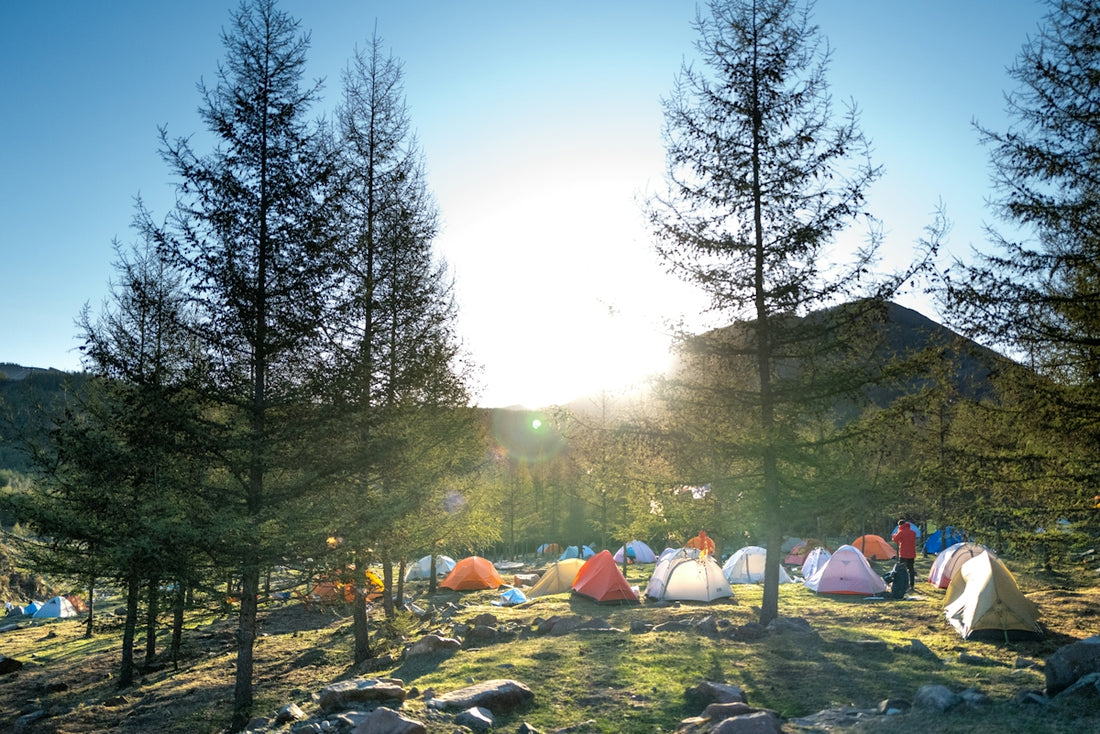 Camping in a sunlit clearing near the mountains